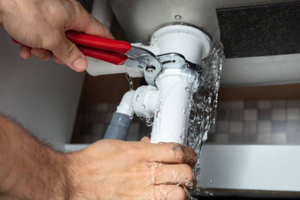 Best Carpet water damage restoration  in St George, UT
