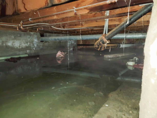 Best Water damage restoration mold remediation  in St George, UT