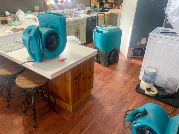 Best Basement water damage restoration  in St George, UT