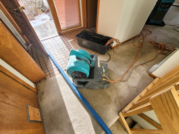 Best Local water damage restoration  in St George, UT