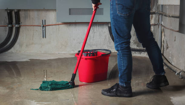 Best Mold removal after water damage  in St George, UT