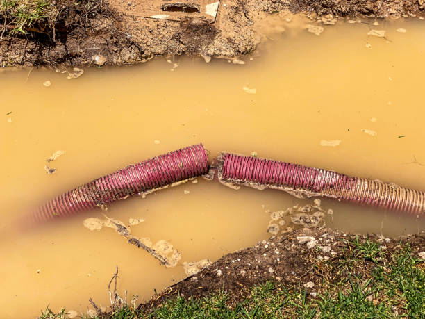 Best Water damage restoration near me  in St George, UT
