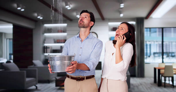 Best Professional water damage repair  in St George, UT